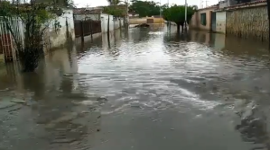 Lluvias provocaron fuertes inundaciones en varios sectores de Maracay este #1Nov (VDEOS)