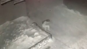 Niña de seis años cae desde un cuarto piso sobre un montón de nieve y se levanta como si nada (VIDEO)