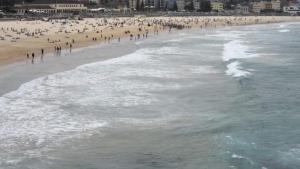 Muere un hombre tras ser atacado por un tiburón en una playa de Australia