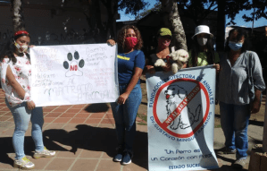 Protestaron ante el vil envenenamiento masivo de mascotas en Cumaná (Fotos)