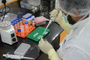 La nueva cepa del coronavirus, más contagiosa, preocupa a los epidemiólogos