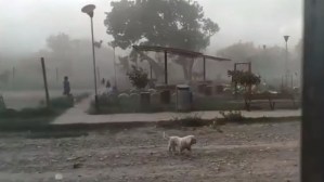 Vientos huracanados provocan destrozos en el sur de Bolivia (VIDEO)