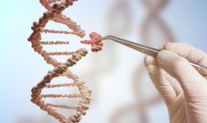 El primer tratamiento médico de edición genética está más cerca de ser aprobado en EEUU