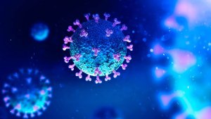 Una nueva investigación extiende el período de inmunidad contra el coronavirus