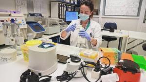 Madrid enfrenta un repunte de contagios con la cepa británica del coronavirus al alza y un caso sospechoso de la sudafricana