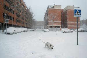 Dos muertos por el temporal de nieve en España; el Ejército interviene para rescatar conductores atrapados