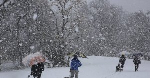 Tormenta de nieve azotó el sur de EEUU y dejó a miles de residentes sin electricidad