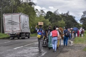 OAS report warns of increase in number of venezuelan refugees