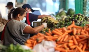 Combos de verduras en Barquisimeto son el “resuelve” de los guaros