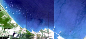 Nuevo derrame de petróleo en Falcón afecta la playa turística de Boca de Aroa #9Feb (Fotos)