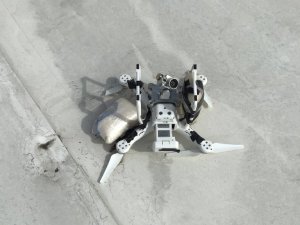 Dron cargado de metanfetamina se estrelló cerca de la frontera entre México y EEUU
