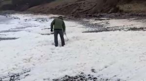 Por qué se ha formado una extraña espuma blanca en las playas del norte de Reino Unido