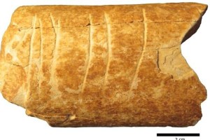 Seis líneas talladas en un hueso hace 120.000 años: Hallazgo en Israel podría marcar un hito en la historia de la humanidad