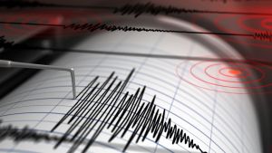 Apareció Funvisis: temblor de magnitud 4,9 al noreste de Irapa, Sucre