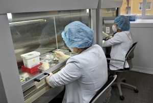 Corea del Sur alcanza récord de más de 400.000 nuevos casos de Covid-19
