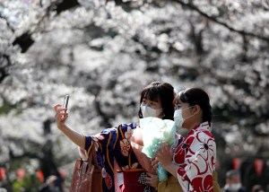 Covid-19 limita festividades de primavera para los fans de los cerezos en flor de Japón