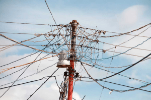 Caracoles eléctricos sobrecargan a los transformadores en Barquisimeto