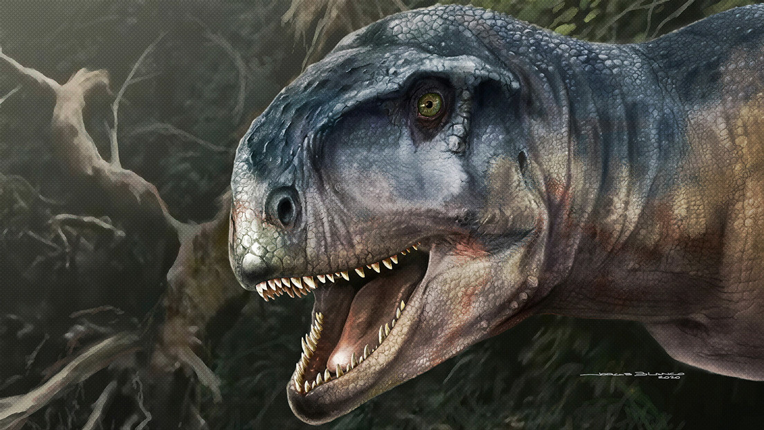 “El que causa miedo”: Descubren una nueva especie de un poderoso dinosaurio carnívoro en Sudamérica