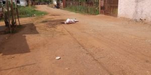 Horror en Santa Lucia del Tuy: Mutilaron a un hombre y dejaron sus restos por distintos sitios