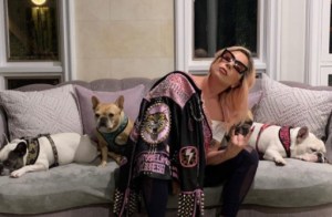 Mujer que “rescató” a los perros de Lady Gaga estaba involucrada en su secuestro