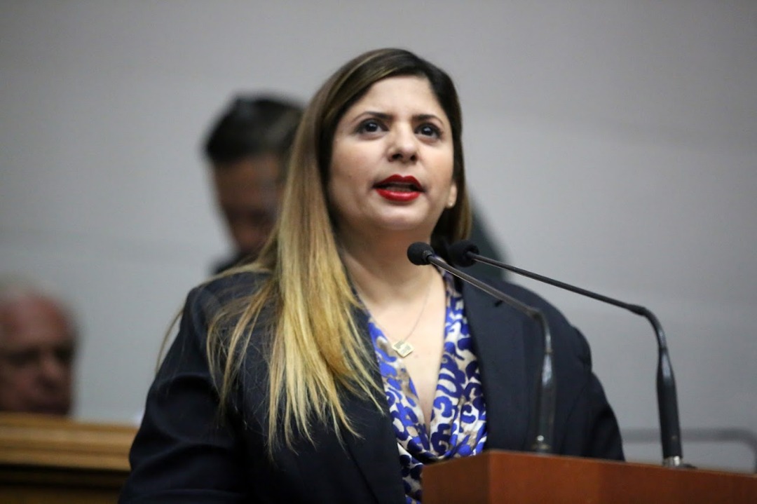 Nora Bracho: Maltrato a la mujer y femicidio aumentó en el país con el confinamiento