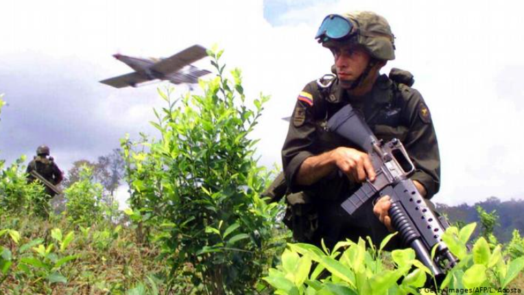 DW: Comunidad del Pacífico colombiano teme eventual fumigación aérea con glifosato