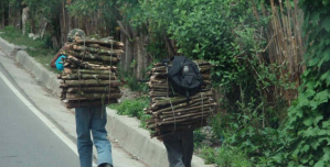 Crisis en Maracay: La leña se convierte en artículo de primera necesidad (Video)