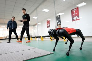 Ni ladra, ni muerde, pero hace los quehaceres: Así es el perro-robot en China que todos quieren en casa