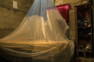 Más de 60 mil casos de malaria se registraron en Venezuela hasta septiembre de 2021