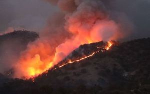 Incendio forestal consume 310 hectáreas en el centro de México
