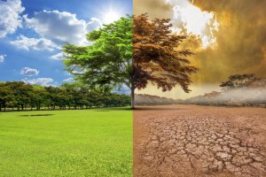 El proyecto “Acción climática, agua y salud” analizó los efectos del clima sobre la salud humana