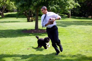 Expresidente Obama anunció que su perro falleció