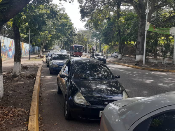 Capturan a dos personas por vender cupos para surtir gasolina sin cola en Táchira
