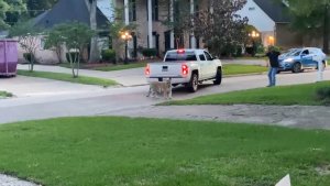 Pánico en Houston: Captaron a un tigre mientras se paseaba en un vecindario (Videos)