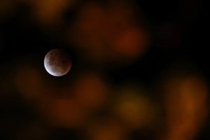 “Luna de sangre”: Dónde y cuándo se podrá ver el último eclipse lunar del año