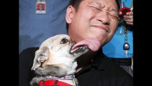 Murió la “héroe” canina que perdió parte de su hocico por salvar a dos niñas en Filipinas