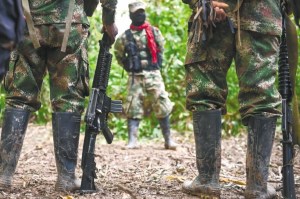 Tarazona denunció el hostigamiento con armas largas por parte de las Farc a los habitantes de Táchira