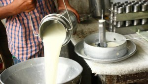Reiteran denuncia sobre circulación de productos lácteos importados sin permisos sanitarios en Venezuela