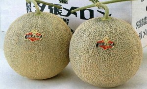 Un par de melones fue subastado en Japón y no creerás su costo final