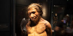 Impresionante hallazgo: Encontraron restos fósiles de nueve neandertales en una cueva de Italia