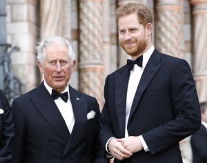 El príncipe Carlos encontró una buena excusa para reunirse con su hijo, le príncipe Harry