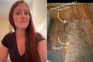 Mujer en Nueva York hizo un terrible descubrimiento debajo de la alfombra de su casa