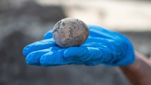 Arqueólogos descubren un huevo de gallina entero de hace mil años y lo rompen accidentalmente