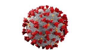 Científicos descubrieron el gen que hace asintomáticas a ciertas personas con coronavirus