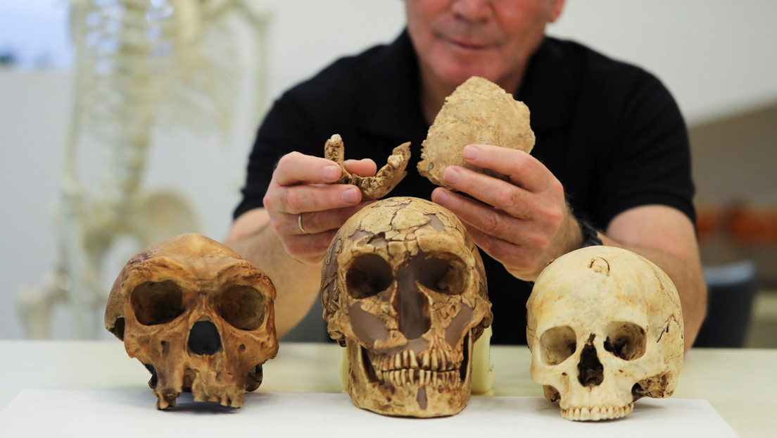 Descubren en Israel una nueva especie de hombre prehistórico