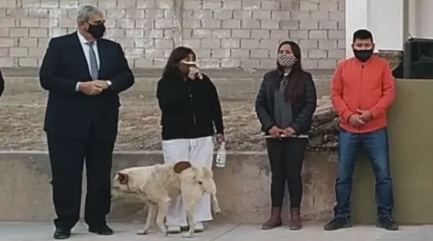 Viral: Perro orinó a alcaldesa en Argentina mientras daba un discurso en evento público (Video)