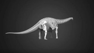 Descubren los restos de uno de los dinosaurios de mayor tamaño del mundo (Imágenes)