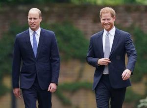 Los príncipes William y Harry inauguraron la estatua de Lady Di (Fotos)