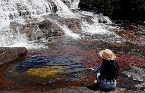Caño Cristales, el río más bonito del mundo, brilla de nuevo tras la pandemia en Colombia (FOTOS)