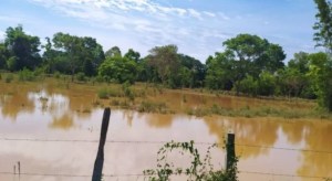 Vecinos de sector en Apure exigieron la construcción de diques para controlar inundaciones